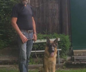 Maulshagen, Kurt<br> mit Elliot von den Maibuchen<br>
BH,IGP 3,SG
<p>
</p><p>