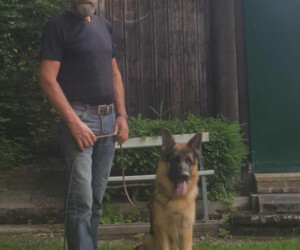 Maulshagen, Kurt<br> mit Elliot von den Maibuchen<br>
BH,IGP 3,SG
<p>
</p><p>