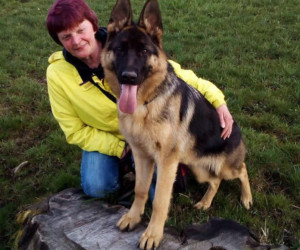 Martina Muth<p>
mit Queana vom Altenberger Land <br>Wesenstest bestanden</p>BH,AD,IGP1,V
