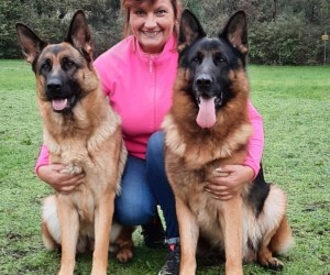Andrea Petzold<br> mit Jack-Daniels von Arlett<br>
BH,AD,IGP3,V,Körung<br>mit Zara von Regina Pacis<br>BH,AD,IGP3,V(BSZ),Körung